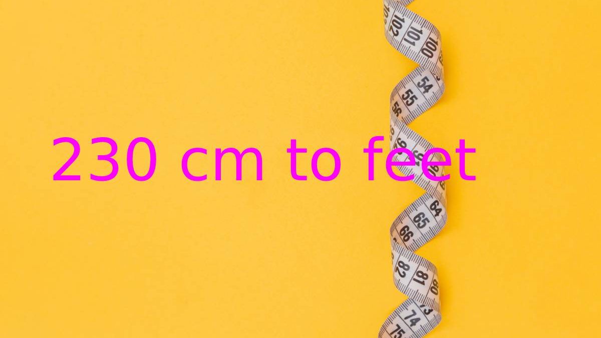 230 Cm to Feet