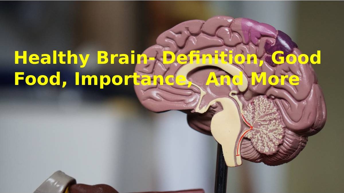 Healthy Brain- Definition, Good food, Importance,  And More