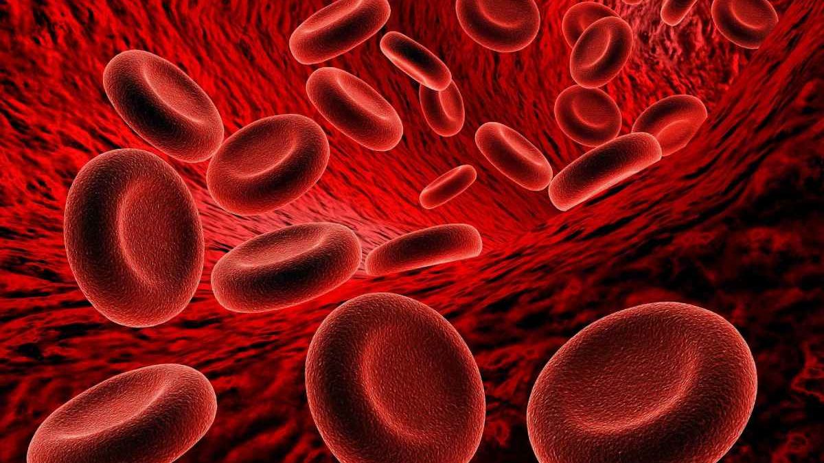 Rajkotupdates.News:emm-Negative-Rare-Blood-Group-Found-in-Rajkot-Man