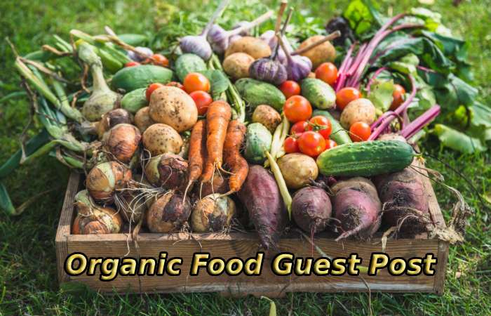 Organic Food Guest Post